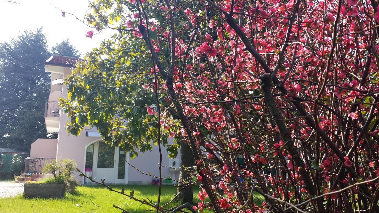 Villa Indipendente A Pochi Passi Dal Lago San Felice del Benaco Bagian luar foto