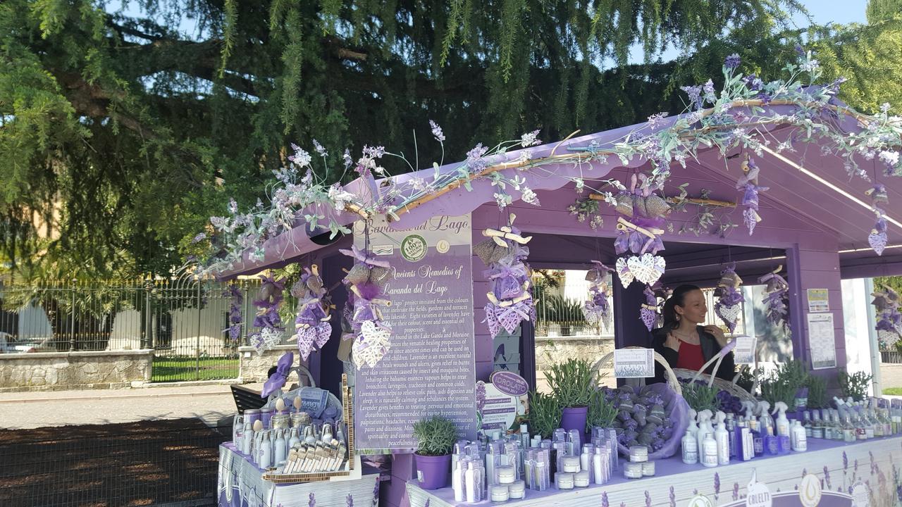 Villa Indipendente A Pochi Passi Dal Lago San Felice del Benaco Bagian luar foto